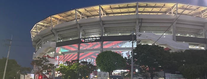 Suwon kt wiz Park is one of KBO Baseball Stadiums for Triple play badge.