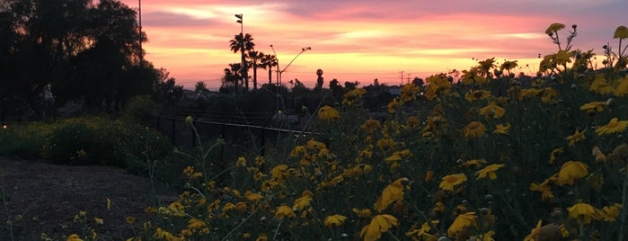 Kenneth Hahn Soccer Fields is one of Rachel’s Liked Places.