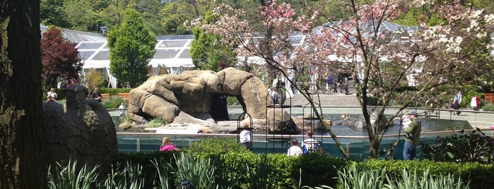 Central Park Zoo is one of NYC TRIP.