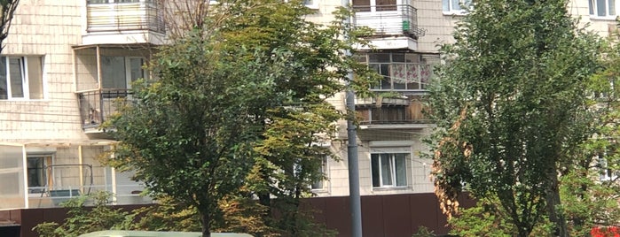 Аллея на бульваре Леси Украинки is one of Киев места.