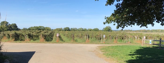 Quincy Cellars is one of Wine-o-Rama.