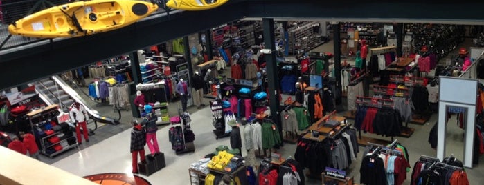DICK'S Sporting Goods is one of Lugares favoritos de Tammy.