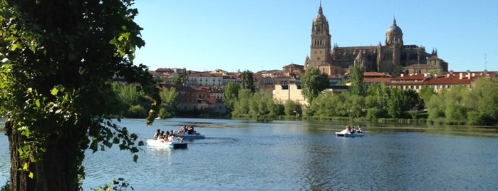 Río Tormes is one of Beginner's Guide to : Salamanca.