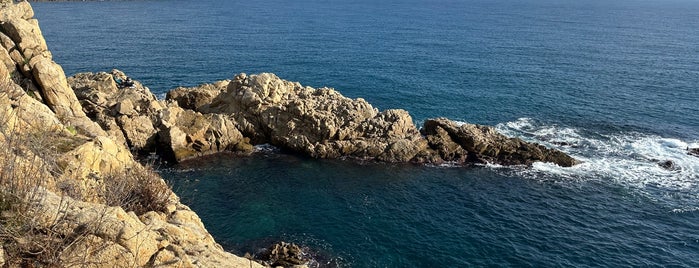 Sa Palomera is one of Mediterranea.