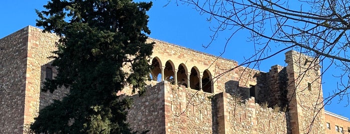 Castell Cartoixa de Vallparadís is one of La meva llista.