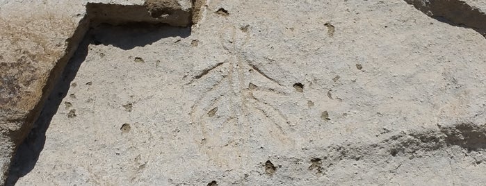 Petroglyph Point is one of Fun stuff 💃🏻.