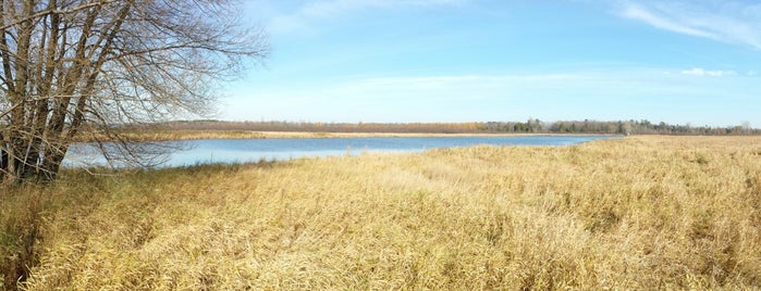Woodland Dunes State Natural Area is one of Attractions.