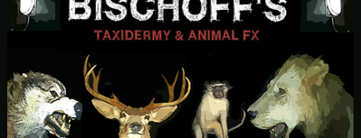 Bischoff's Taxidermy & Animal EFX is one of Nikki Kreuzer's Offbeat L.A..