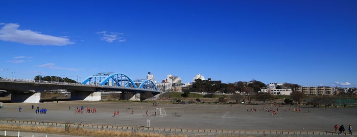 丸子の渡し跡 is one of 多摩川.
