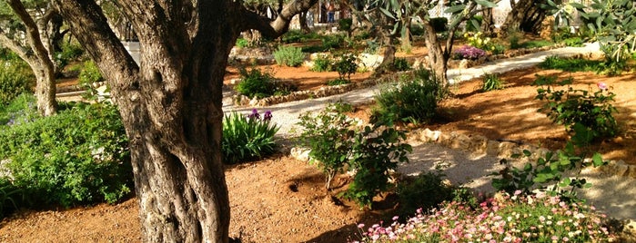 Garden of Gethsemane is one of новый израиль.
