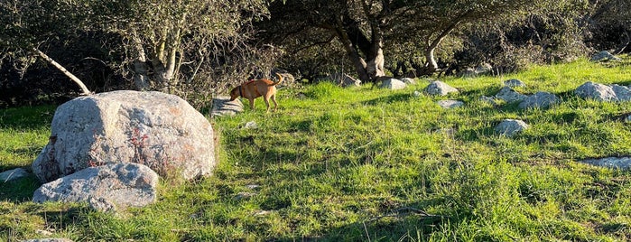 Cerro San Luis (Madonna Mountain) is one of San Luis Obispo, CA.