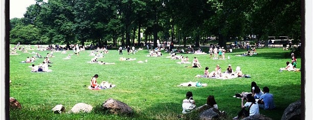 Sheep Meadow is one of NY To Do.