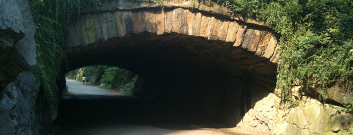 Riftstone Arch is one of Kimmie 님이 저장한 장소.