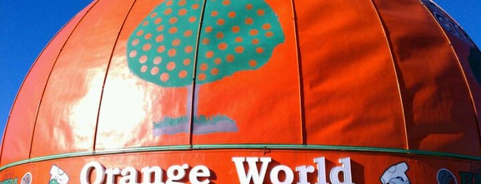 Orange World is one of Buildings Shaped Like the Food They Serve.