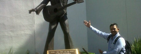 Elvis statue is one of Las Vegas.