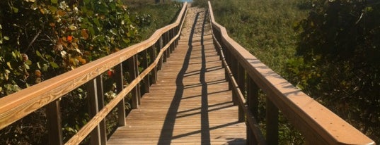 Ocean Ridge Hammock Park is one of If I am ever in ....