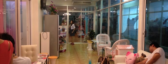 Charming Cats Cafe & Pet Shop is one of Cuisine.
