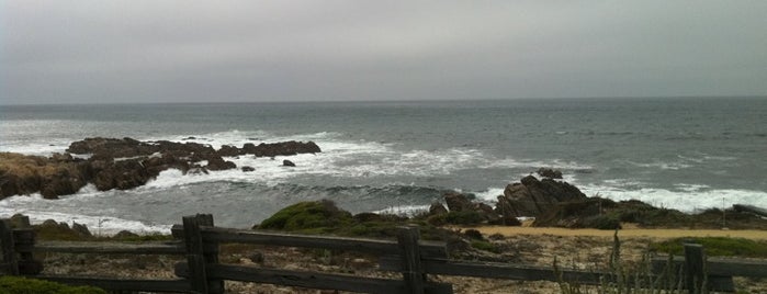 Asilomar State Beach is one of Miscellaneous.