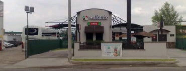 Caffenio Drive Café is one of Tips Clientes Caffenio.
