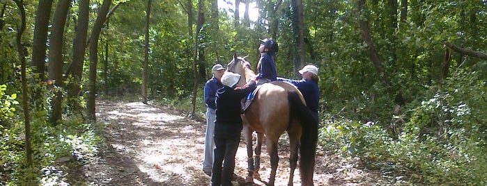 Maryland Therapeutic Riding is one of Lugares favoritos de KTLR.