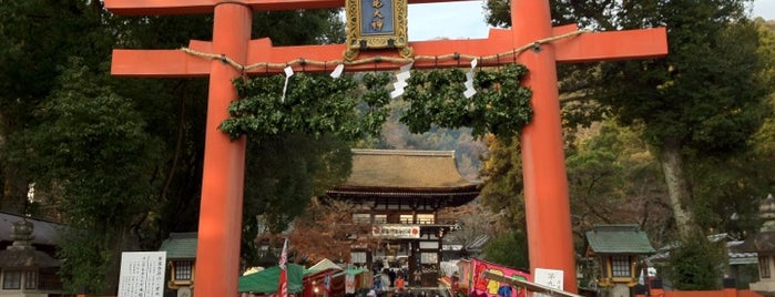 Matsunoo-Taisha Shrine is one of 京都の定番スポット　Famous sightseeing spots in Kyoto.