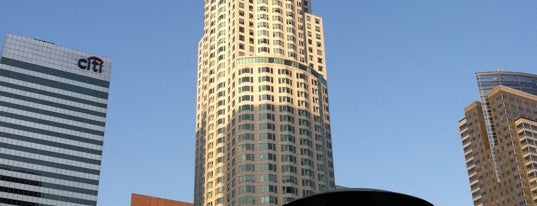 The Standard, Downtown LA is one of LA and beach cities as a local.