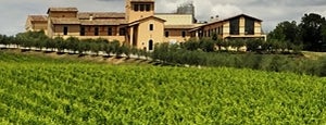 Arnaldo Caprai is one of Wine experience Umbria.