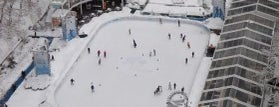 Bank of America Winter Village at Bryant Park is one of Top Ice Skating Rinks in NYC.