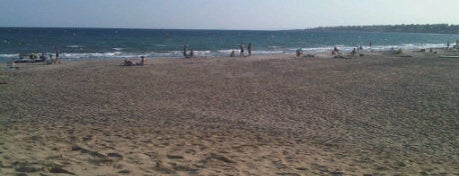 Playa de Los Náufragos / Poniente is one of Playas de la Comunidad Valenciana.