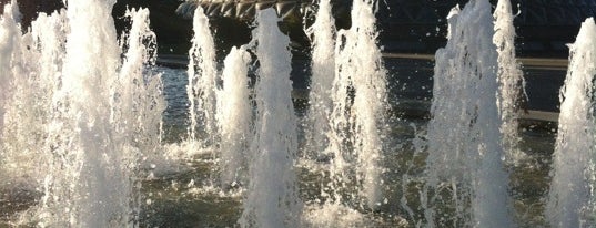 Queen Elizabeth Park Fountains is one of Mt Pleasant & Riley Park Neighbourhoods.