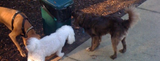 West Orange Dog Park is one of Lugares favoritos de Mary.