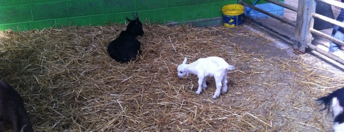 Monk Park Farm is one of Days out from Bradford.