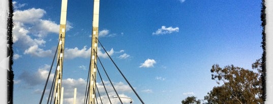 Eleanor Schonell Bridge is one of Brisbane River Crossings.