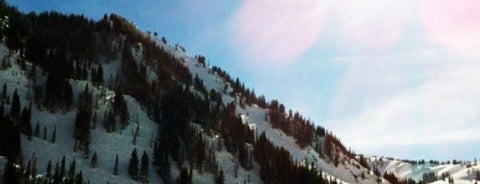 Alta Ski Area is one of Ski the Globe.