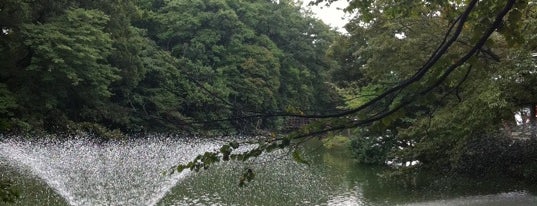Inokashira Park is one of 多摩・武蔵野ウォーキング.