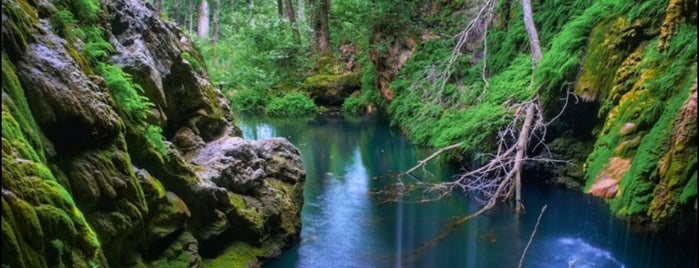 Westcave Outdoor Discovery Center is one of สถานที่ที่บันทึกไว้ของ Derek.