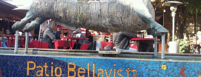 Patio Bellavista is one of chile.