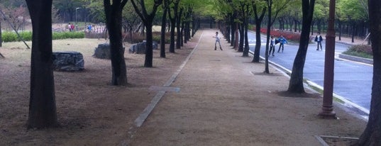 Incheon Grand Park is one of Layover: ICN/RKSI.