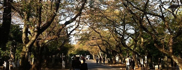 谷中霊園 is one of お散歩マップ.