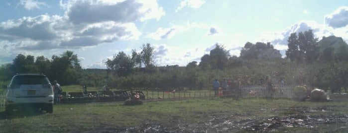 Prospect Hill Orchard is one of adventures outside nyc.