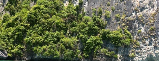 Tonsai Beach is one of Krabi.