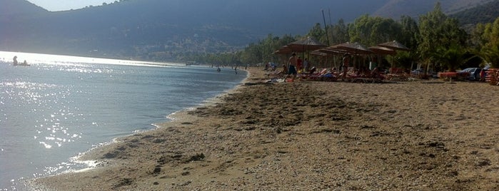 Aghios Dimitrios Beach is one of Παραλίες κεντρικής Εύβοιας.