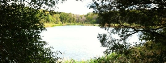 Fairfield Lake State Park is one of Texas State Parks & State Natural Areas.