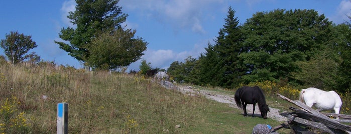 Grayson Highlands State Park is one of Favorites: Southwest VA.