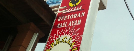 Nasi Ayam Special Bachang is one of Makan @ Melaka/N9/Johor #4.