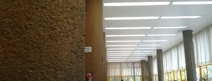 Biblioteca Antonio Dovalli is one of UNAM.