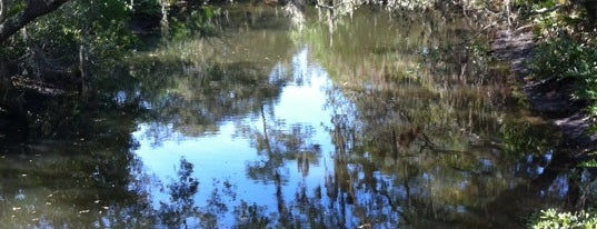 Oscar Scherer State Park is one of Marcia’s Liked Places.