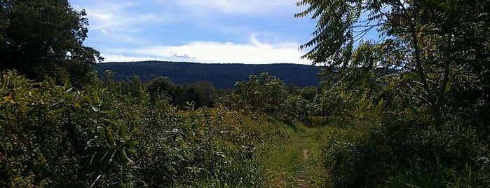 Appalachian trail is one of 50 US Trips to Take.