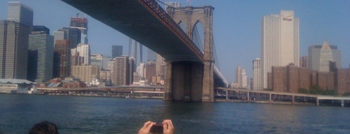 Circle Line Sightseeing Cruises is one of NYC with children.