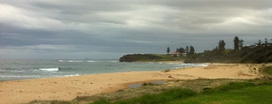 Sharkey's Beach is one of Jasonさんのお気に入りスポット.